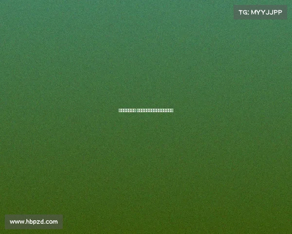 新赛季正式开启 这面盾牌象征着未来的挑战与希望