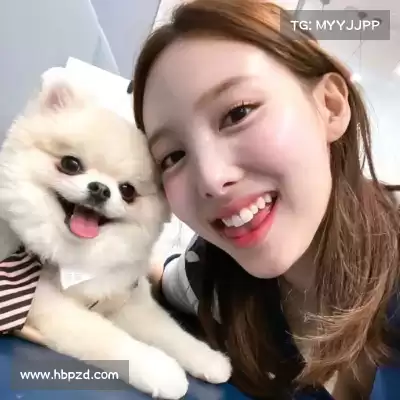 费仲季